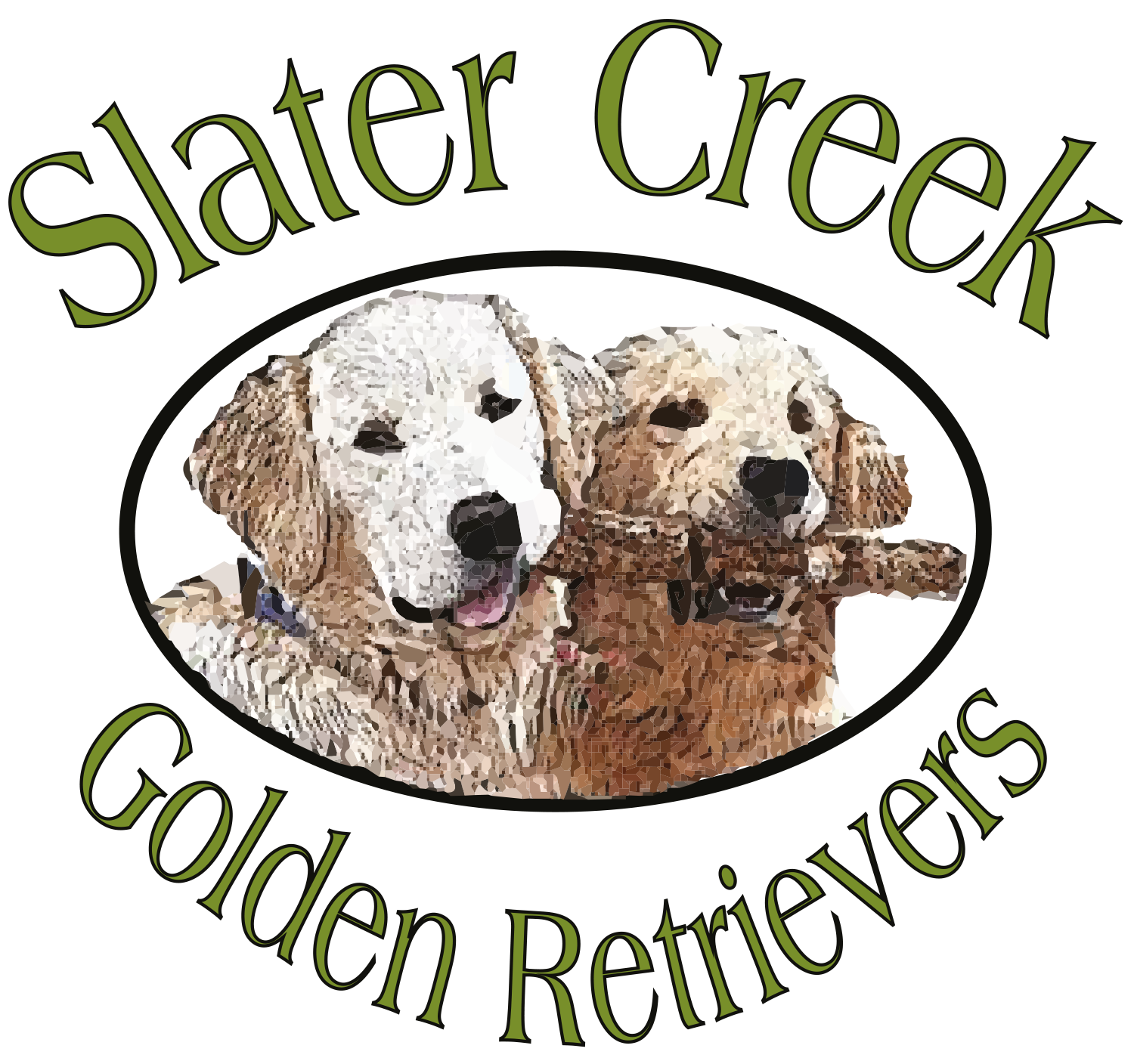 Golden Retriever Puppies Colorado, Best Golden Retriever Breeder